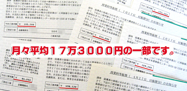 月々平均１７万３０００円の一部です